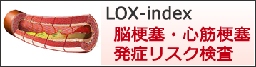 LOX-index脳梗塞・心筋梗塞・発症リスク検査