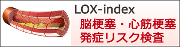 LOX-index