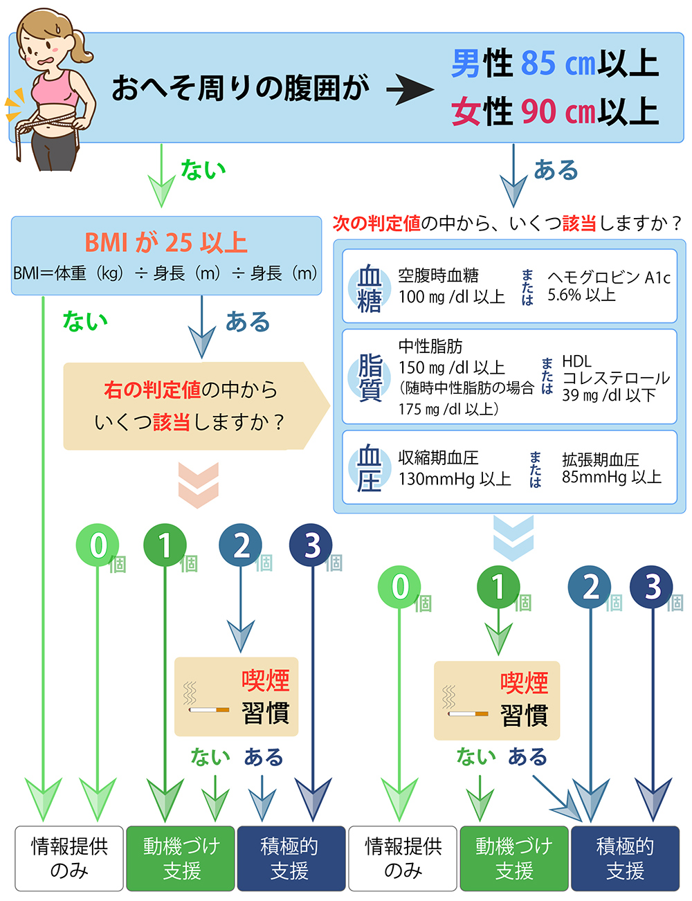 特定保健指導の特色と判定基準と支援の流れ